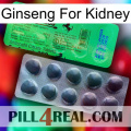 Ginseng For Kidney new04